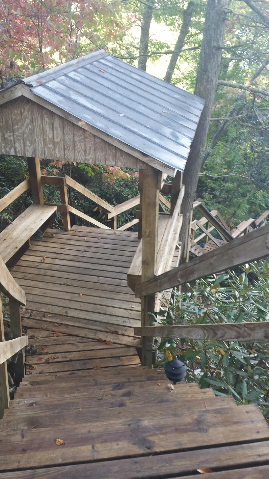Metal roofed shelter over wooden steps on a wooded walkway — Skylight Repair & Installation work by our crew in Riley